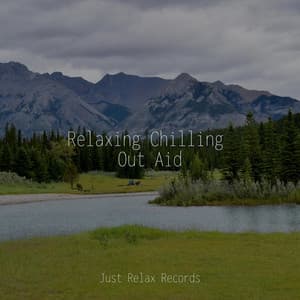 Relaxing Chilling Out Aid - Mantra para Dormir