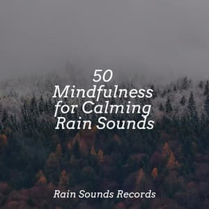 50 Mindfulness for Calming Rain Sounds - Rain For Deep Sleep