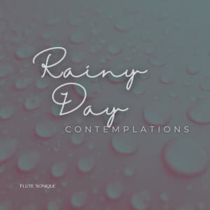 Rainy Day Contemplations - Flute Sonique