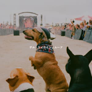 チル・ケイナイン・ムード - Instrumental Soft Jazz