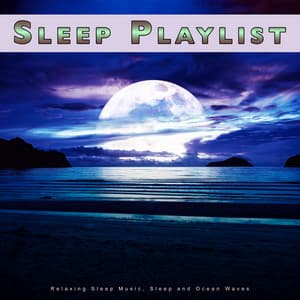 Sleep Playlist: Relaxing Sleep Music, Sleep and Ocean Waves - Sleep Music