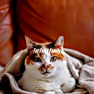 For Furry Family - Saturday Morning Jazz Playlist