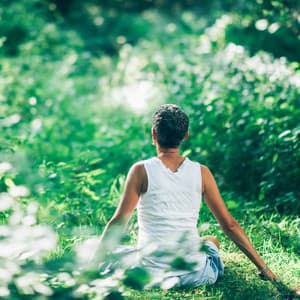 Calm Retreat: Gentle Music for Relaxation - Help With Depression Music