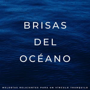 Brisas Del Océano: Melodías Relajantes Para Un Vínculo Tranquilo - Océano en HD