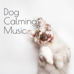 Dog Calming Music. Nature Sounds, Soothing & Healing New Age Pieces - Cumulus Clouds Music Academy