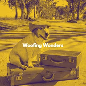 Woofing Wonders - Relax My Dog Music