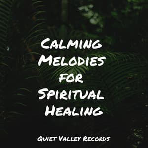 Calming Melodies for Spiritual Healing - Sleep Recording Sounds