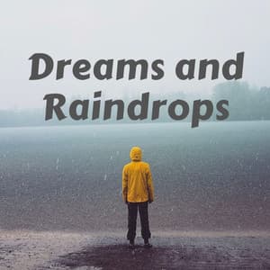 Dreams and Raindrops - Meditation Music Collective