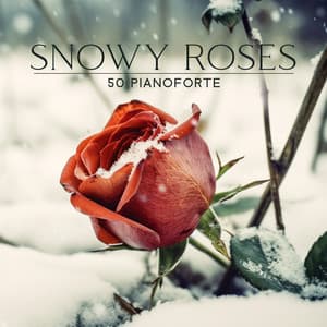 Snowy Roses: 50 Pianoforte - Relaxing Piano Music Oasis