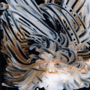 Le Lisse et le Strié - Kassel Jaeger