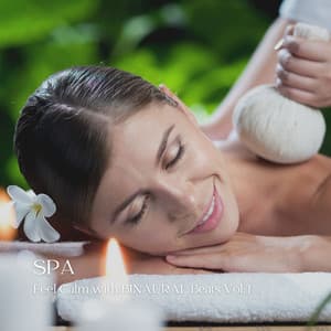 SPA: Feel Calm with BINAURAL Beats Vol. 1 - Nano Sounds