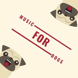 Music For Dogs - Music For Dogs