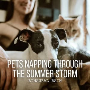 Binaural Rain: Pets Napping Through the Summer Storm - Binaural Beats MT