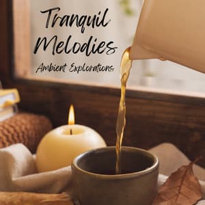 Tranquil Melodies: Ambient Explorations - The Urban Ambience