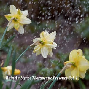 Rain Ambience Therapeutic Presence Vol. 1 - Rain Sounds FX