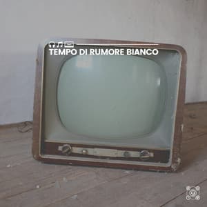 Tempo di rumore bianco - Rumore Bianco