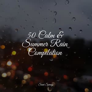 50 Calm & Summer Rain Compilation - Deep Focus