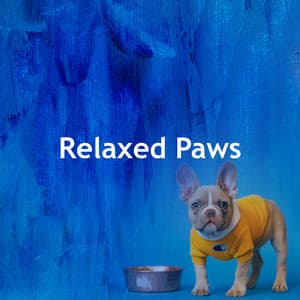 Relaxed Paws - Dog Music Hour