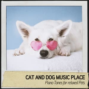 Cat and Dog Music Place: Piano Tones for relaxed Pets - Relajacion