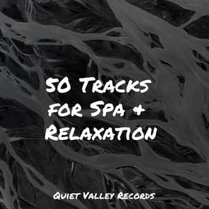 50 Tracks for Spa & Relaxation - Spa Zen