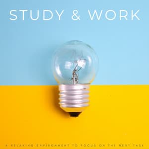 Study & Work: A Relaxing Environment To Focus On The Next Task - Co-Working Music Playlist