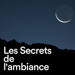 Les Secrets de l'ambiance - Zone de la Musique Relaxante