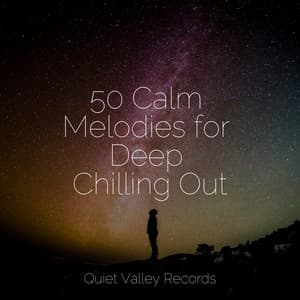50 Calm Melodies for Deep Chilling Out - Shakuhachi Sakano
