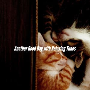 Another Good Day with Relaxing Tunes - Radio de Jazz Suave