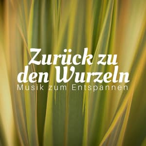 Zurück zu den Wurzeln - Musik zum Entspannen, Zen Musik, Tiefenentspannung, Naturgeräusche, Meditationmusik - Kojo Iyanya
