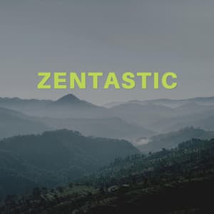 Zentastic - All Night Sleeping Songs to Help You Relax
