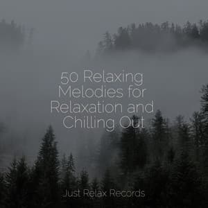 50 Relaxing Melodies for Relaxation and Chilling Out - Música Relajante para Bebés