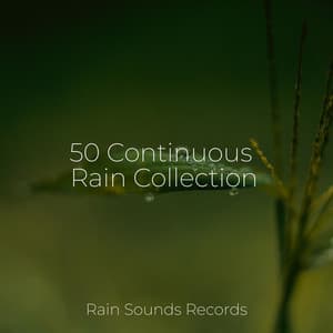 50 Continuous Rain Collection - Meditation
