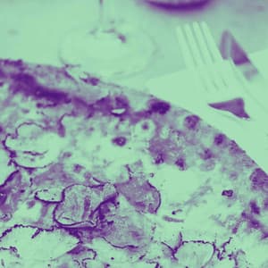 Bossa Nova Guitar - Speakeasy Jazz Playlist