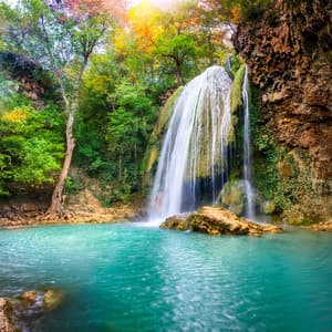 Sonidos Tranquilos: Música Relajante Para Aliviar El Estrés - Sonidos infinitos