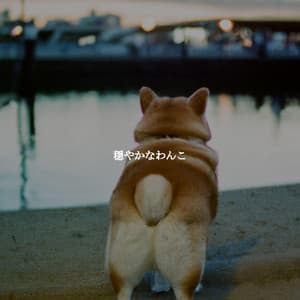 穏やかなわんこ - Select Relaxing Bossa Nova