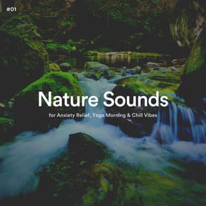 #01 Nature Sounds for Anxiety Relief, Yoga Morning & Chill Vibes - The Nature Soundscapes