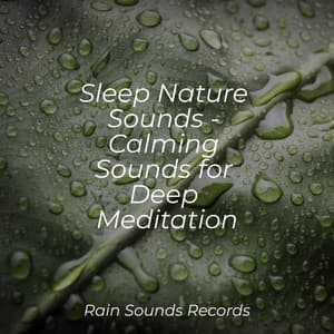 Sleep Nature Sounds - Calming Sounds for Deep Meditation - Meditation Relaxation Club