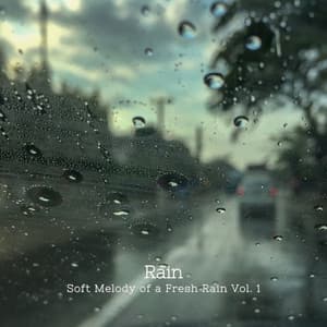 Rain: Soft Melody of a Fresh Rain Vol. 1 - The Rainforest Collective