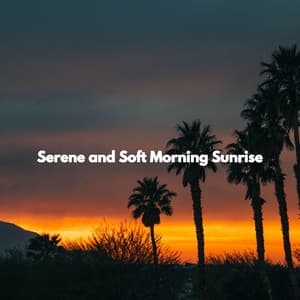 Serene and Soft Morning Sunrise - Coffee House Smooth Jazz Playlist