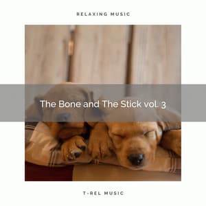 2021 The Bone and The Stick vol. 3 - Sleeping Music For Dogs