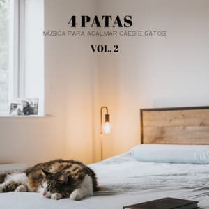 4 Patas: Música Para Acalmar Cães E Gatos, Vol. 2 - Balneario