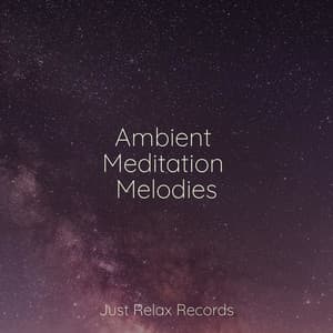 Ambient Meditation Melodies - Shakuhachi Sakano