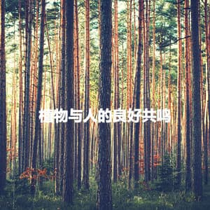 植物与人的良好共鸣 - Jazz Experience for Reading
