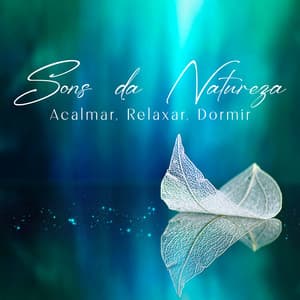 Sons da Natureza: Acalmar, Relaxar, Dormir - Relaxantes Natureza Zona