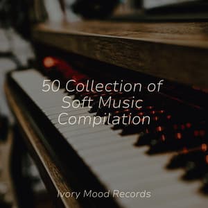 50 Collection of Soft Music Compilation - Ivory Mood
