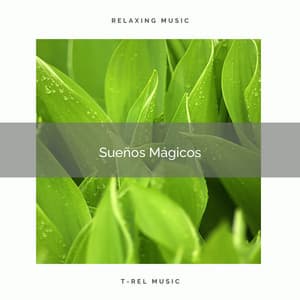 ! ! ! ! ! ! ! ! ! ! Sueños Mágicos - Música de la Naturaleza