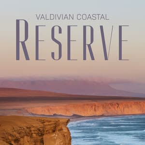 Valdivian Coastal Reserve - A Delightful Collection of Nature Sounds - Nature Sounds Artists