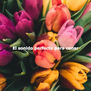 El sonido perfecto para cenar - Happy Coffee Shop Music