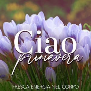 Ciao primavera: Fresca energia nel corpo, Atteggiamento positivo, Cambiamenti mentali positivi, Flusso di consapevolezza, Gratitudine e apprezzamento, Lascia andare la terapia - Musica Relax Academia