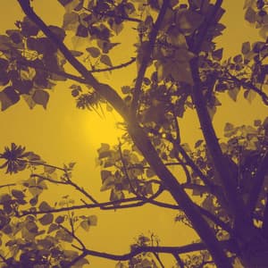 Lo-fi - Ambiance for Chill Out Time - Work at Home Lofi